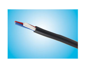 【通納科技聚氯乙烯護(hù)套電線】( 聚氯乙烯護(hù)套電線)報價_圖片_參數(shù)_評測_論壇_通納科技聚氯乙烯護(hù)套電線綜合布線報價-天極產(chǎn)品庫