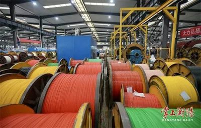 五彩電纜線 金杯電工車間的科技與美學交融